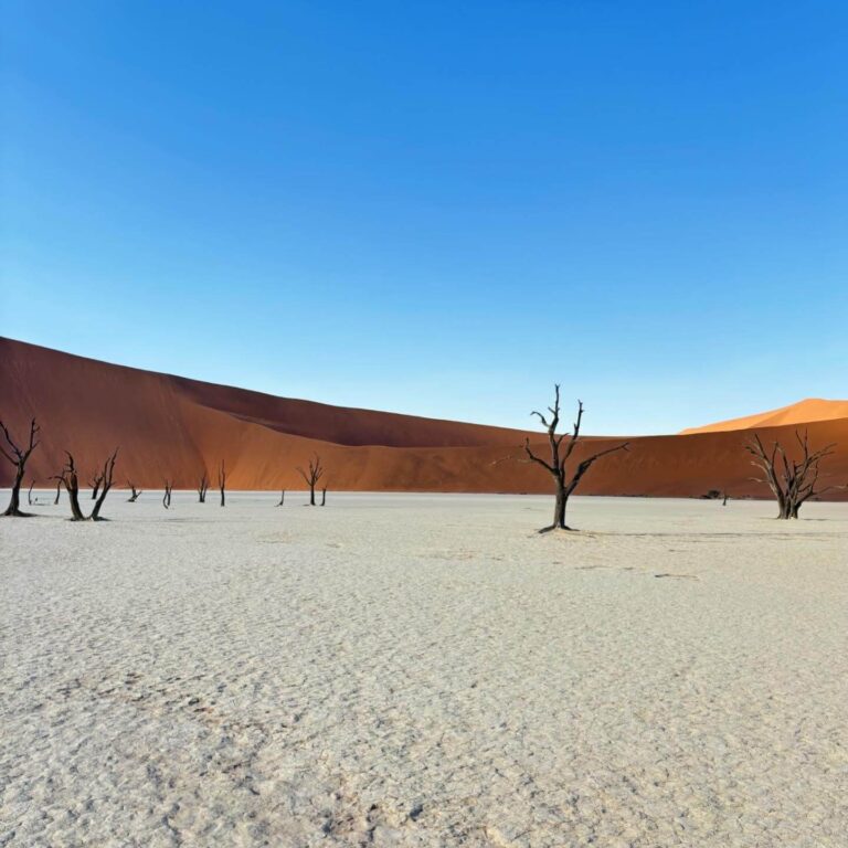 Pointe du Désert de Namib, paysage aride et désertique en Namibie.