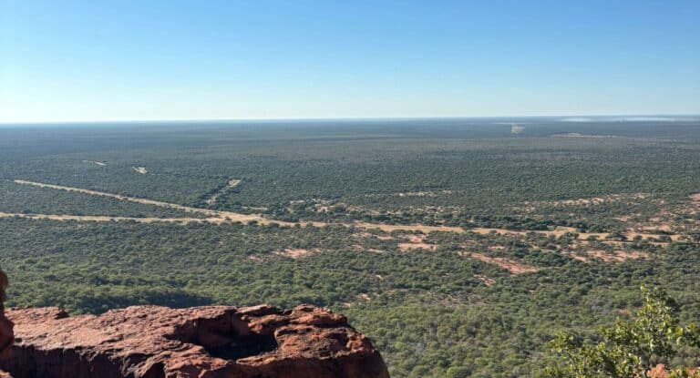 Waterberg Road Trip Namibie 15 jours