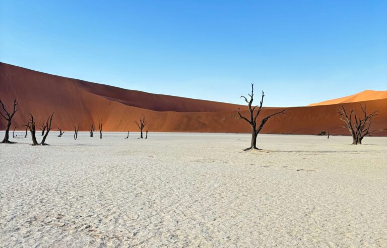 Deadvlei Sesriem voyage namibie prix