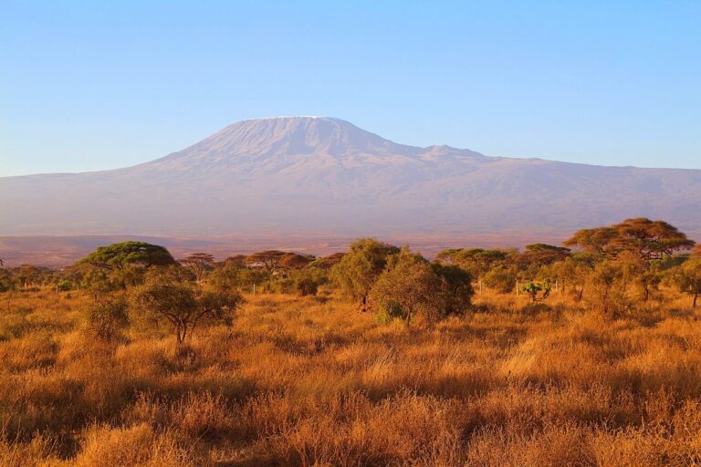 Kilimandjaro altitude
