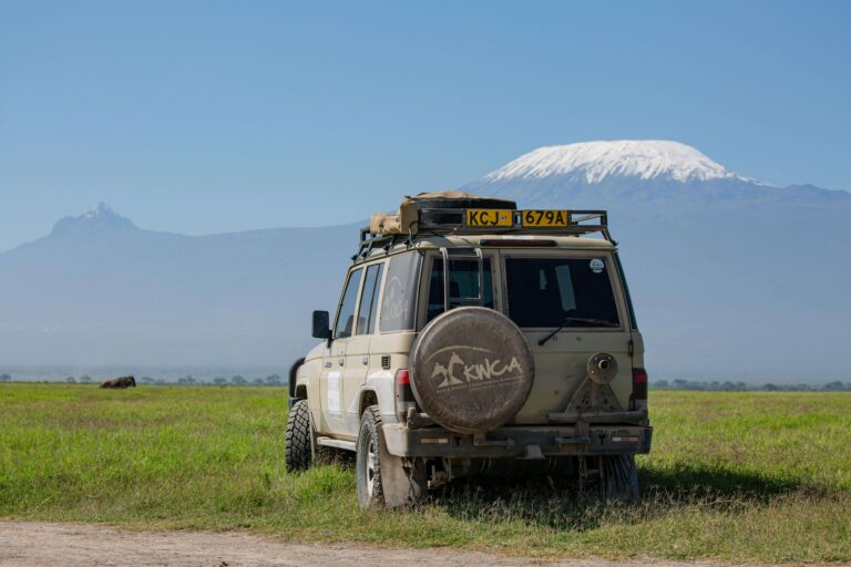 safari kilimandjaro safari Afrique du sud