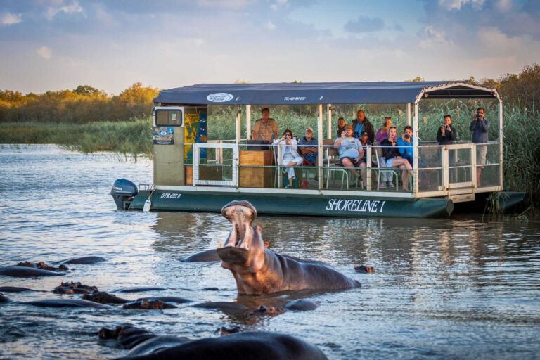 safari aquatique que faire sainte lucie afrique du sud