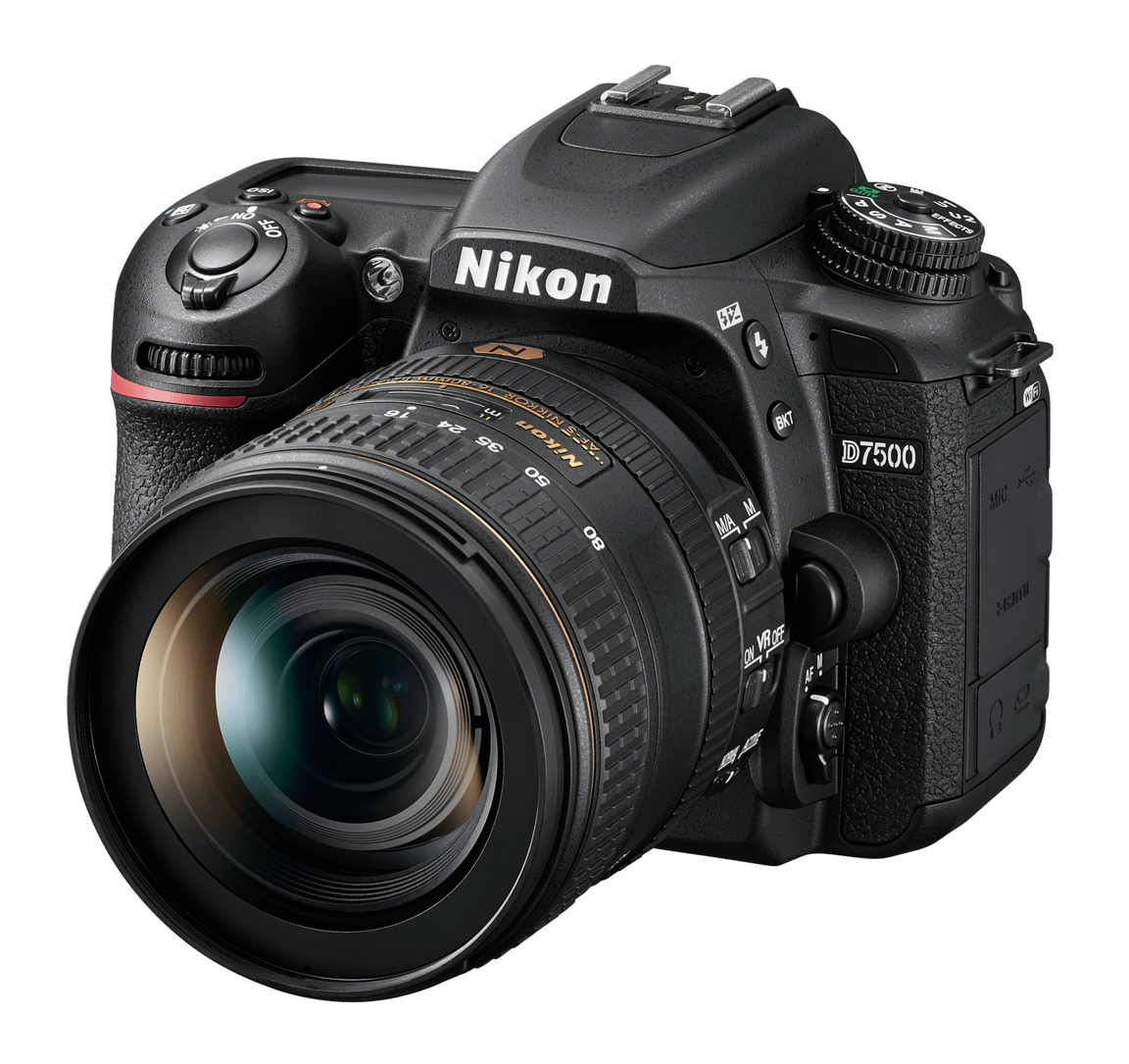 nikon D7500 appareil photo safari petit budget