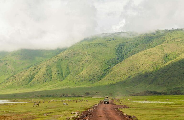 Cratère du Ngorongoro Tanzanie safari responsable afrique eSim Tanzanie Carte bancaire safari