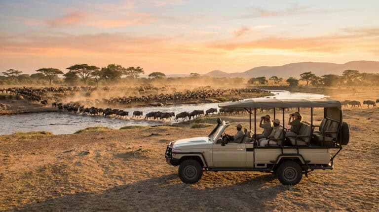 safari en afrique tout compris