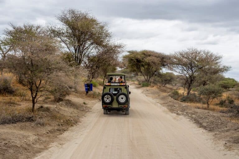 safari tanzanie prix