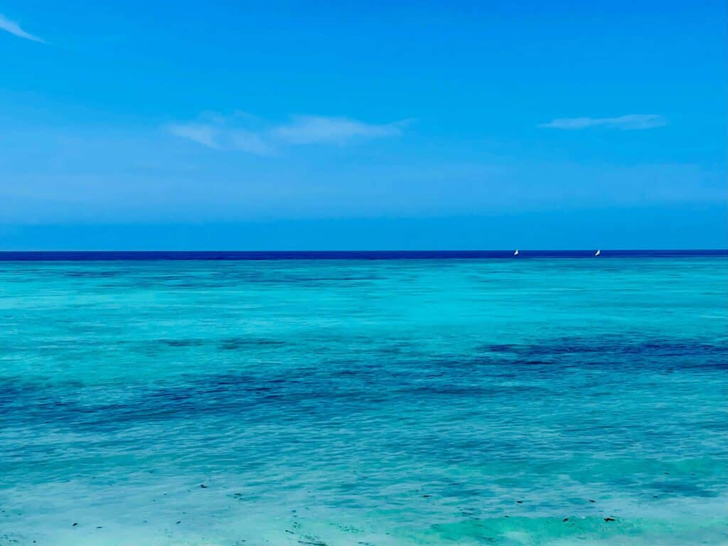 Quand partir à Zanzibar