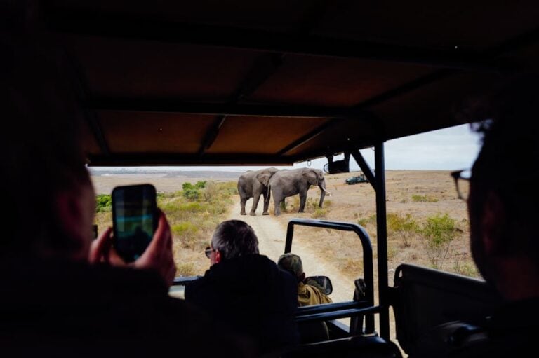 safari parc kruger famille