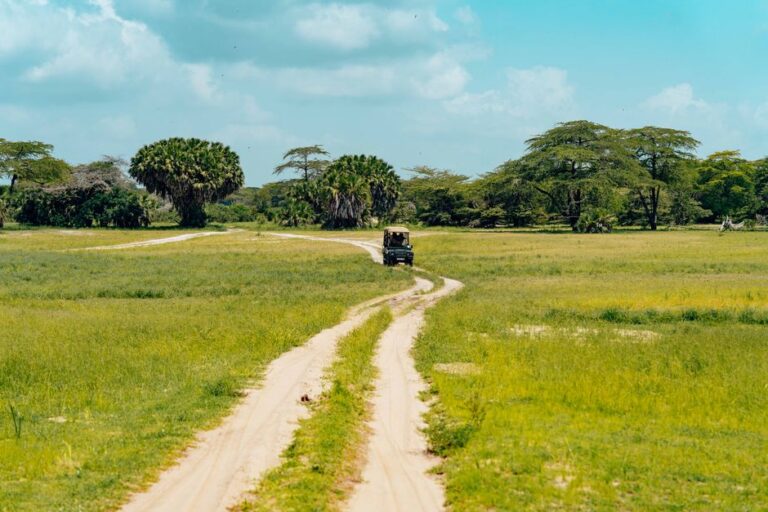 Serengeti Masai Mara