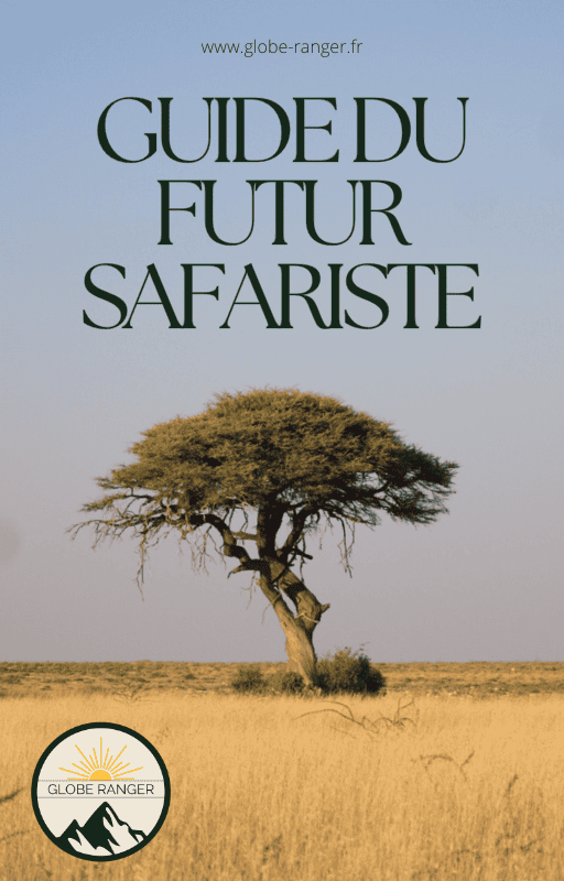 Le guide du premier safari