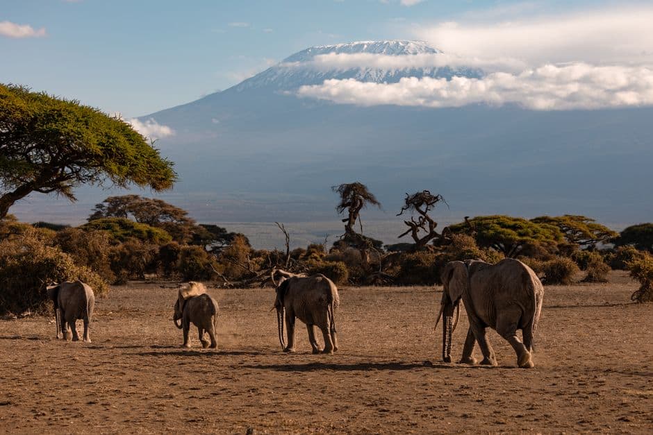 safari au kenya