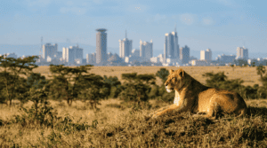 parc national Nairobi